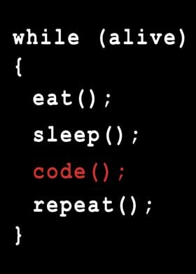 Programmer Coder