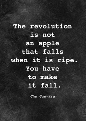 Che Guevara Quote D001