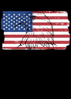 USA Flag American Eagle