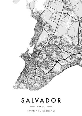 Salvador City Map White