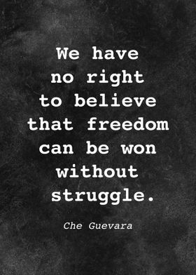 Che Guevara Quote D012