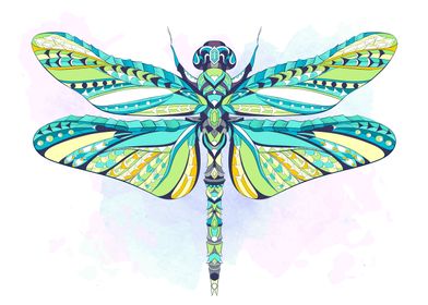 dragonfly 