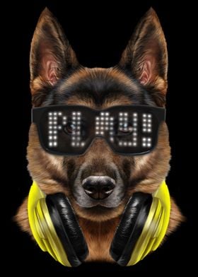 Rapper German Shepherd Dog