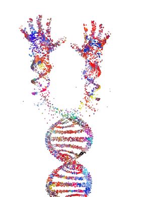 Human hand structure DNA 