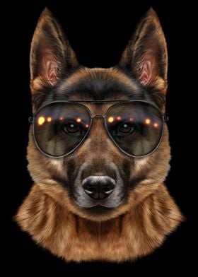 Cool German Shepherd Dog