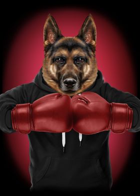 Boxing German Shepherd Dog