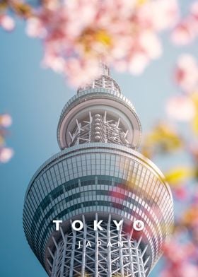 Tokyo spring and Sakura