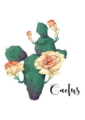 Cactus Plant