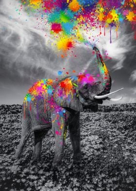 Elephant play paint Colors