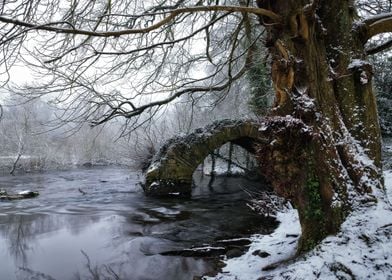 at the bridge