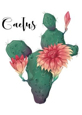 Cactus Plant