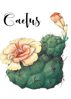 Cactus Plant