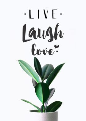 Live Laugh Love