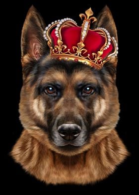 German Shepherd in Crown