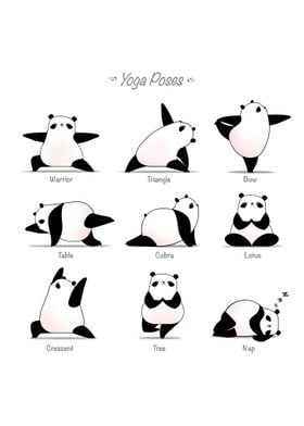 Yoga Panda II