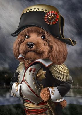 Emperor Poodle Napoleon