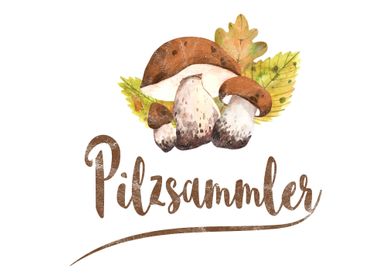 Pilzsammler