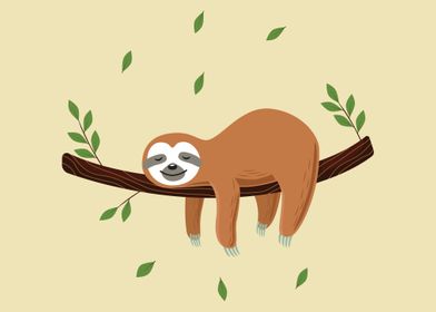 Sloth cute