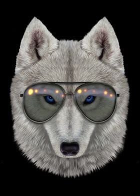 Polar Wolf in Aviator