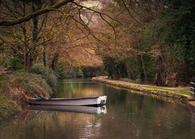 The Swansea Canal at Clyda