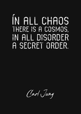 Carl Jung Quote 8