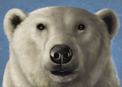 Polar bear mugshot