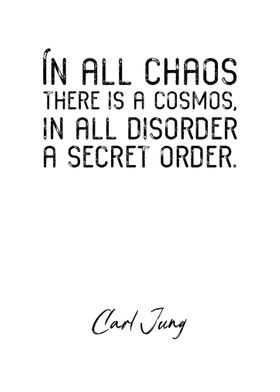 Carl Jung Quote 8
