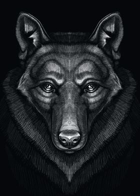 Drawing of the wolf