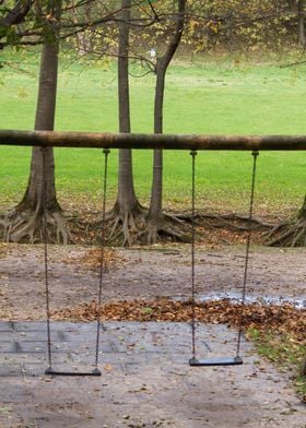 swing in the park