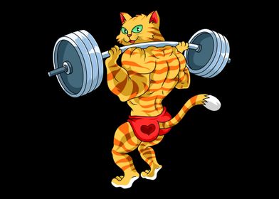 Cat Weight Lifting
