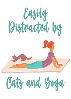 Cats and Yoga