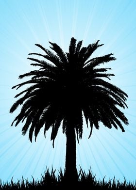 Palm Tree