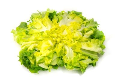 Escarole 