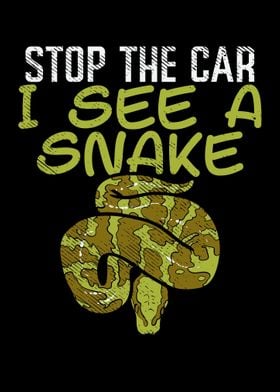 Stop The Car I See A Snake