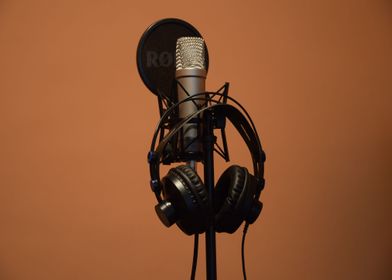 microphone black brown