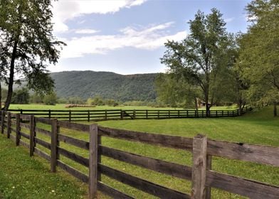 The Blue Ridge Mountains