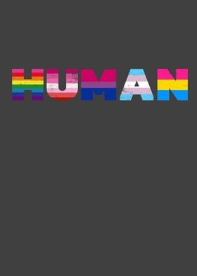 Vintage HUMAN Flag LGBT