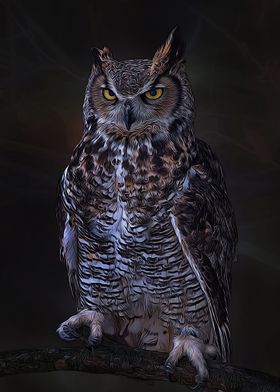 Owl Cute