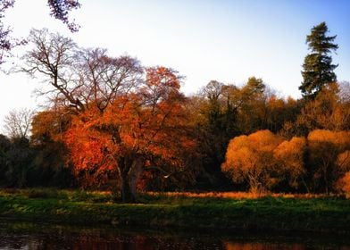 fiery autumn