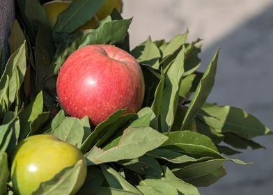 bouquet with fresh fruit