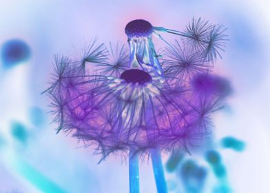 Purple and blue dandelion