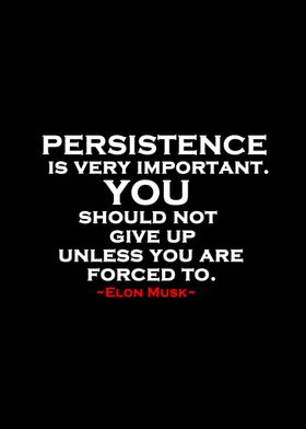 Elon Musk quote 3