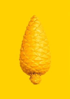 Yellow pine cone