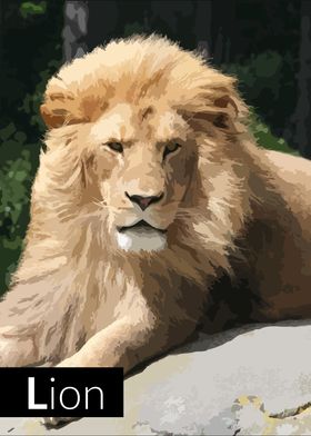 lion 