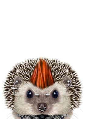 Punk Rock Cute Hedgehog