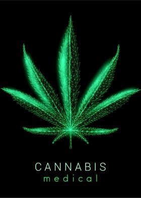 Cannabis Weed Marihuana