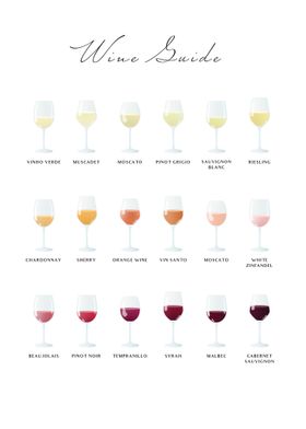 Wine Guide