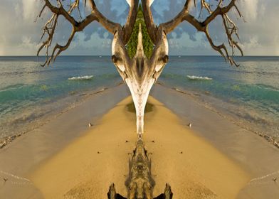 Beach Antelope