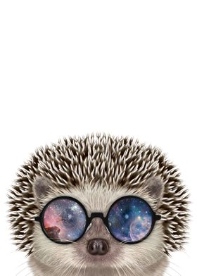 Hedgehog in Space Sunglass