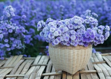 Flower basket